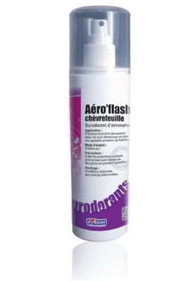 Aéro'Flash Chèvrefeuille Surodorant 250 ml - 110419