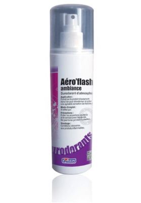 Aéro'Flash Ambiance Surodorant 250 ml - 110551